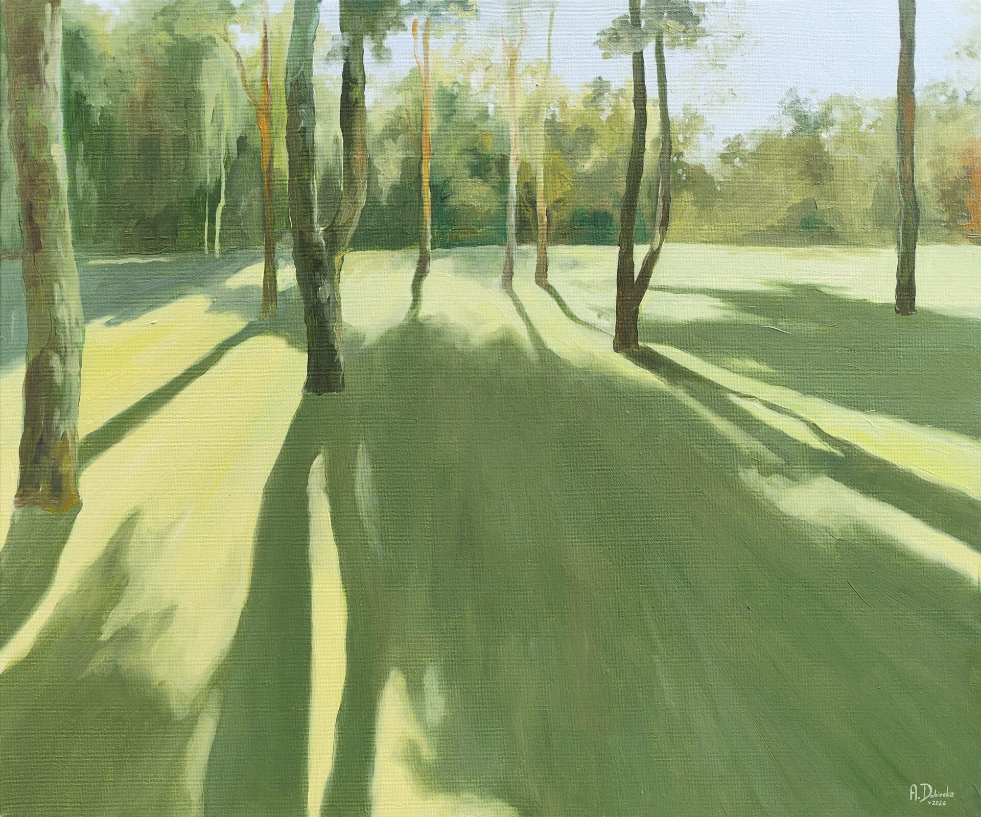 pierwszy prześwit zdjęcie1